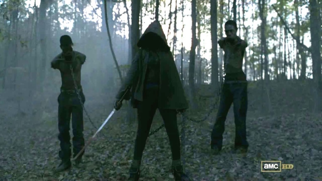 Michonne S Group Tv Series Walking Dead