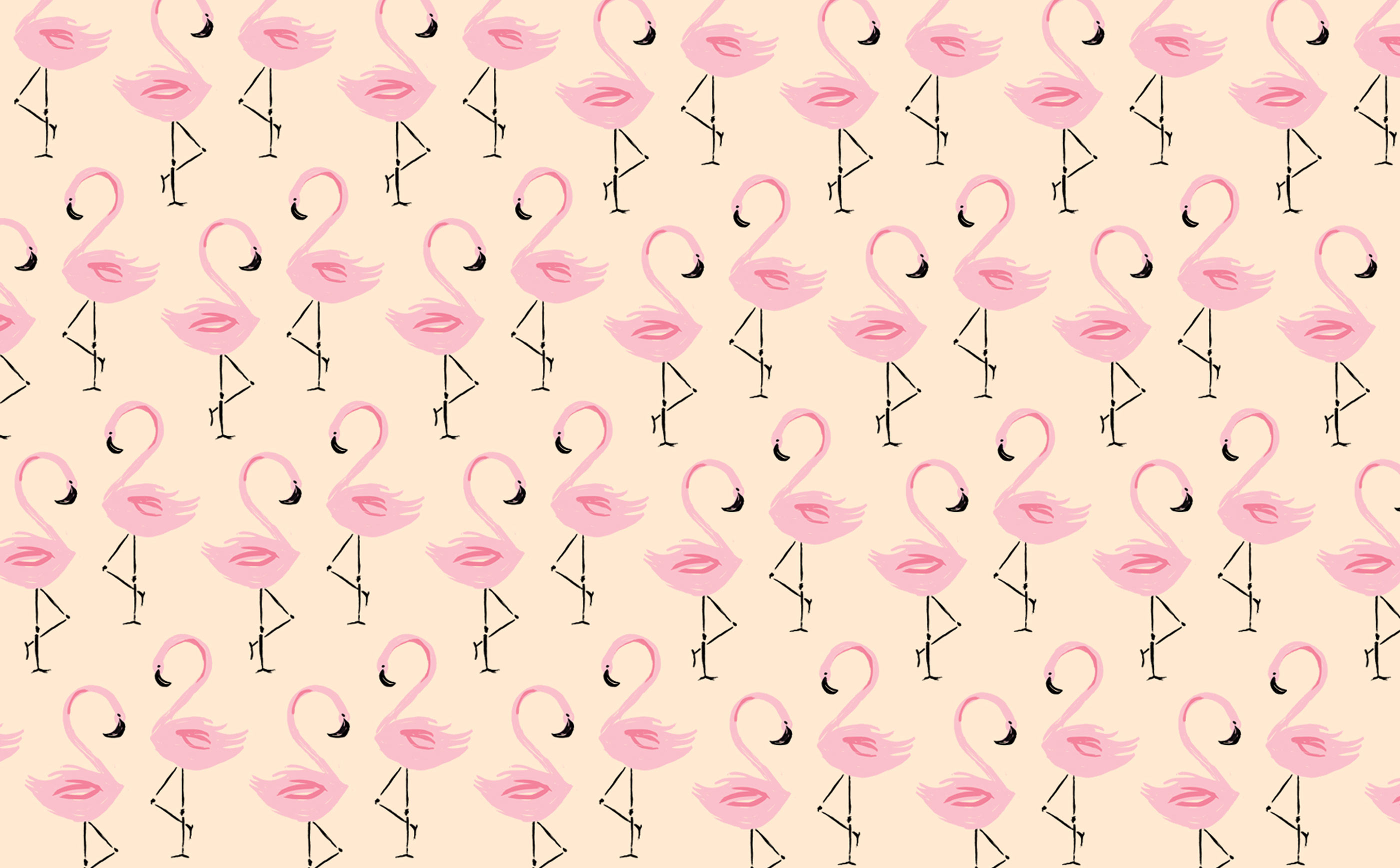 June Flamingo Digital Wallpaper