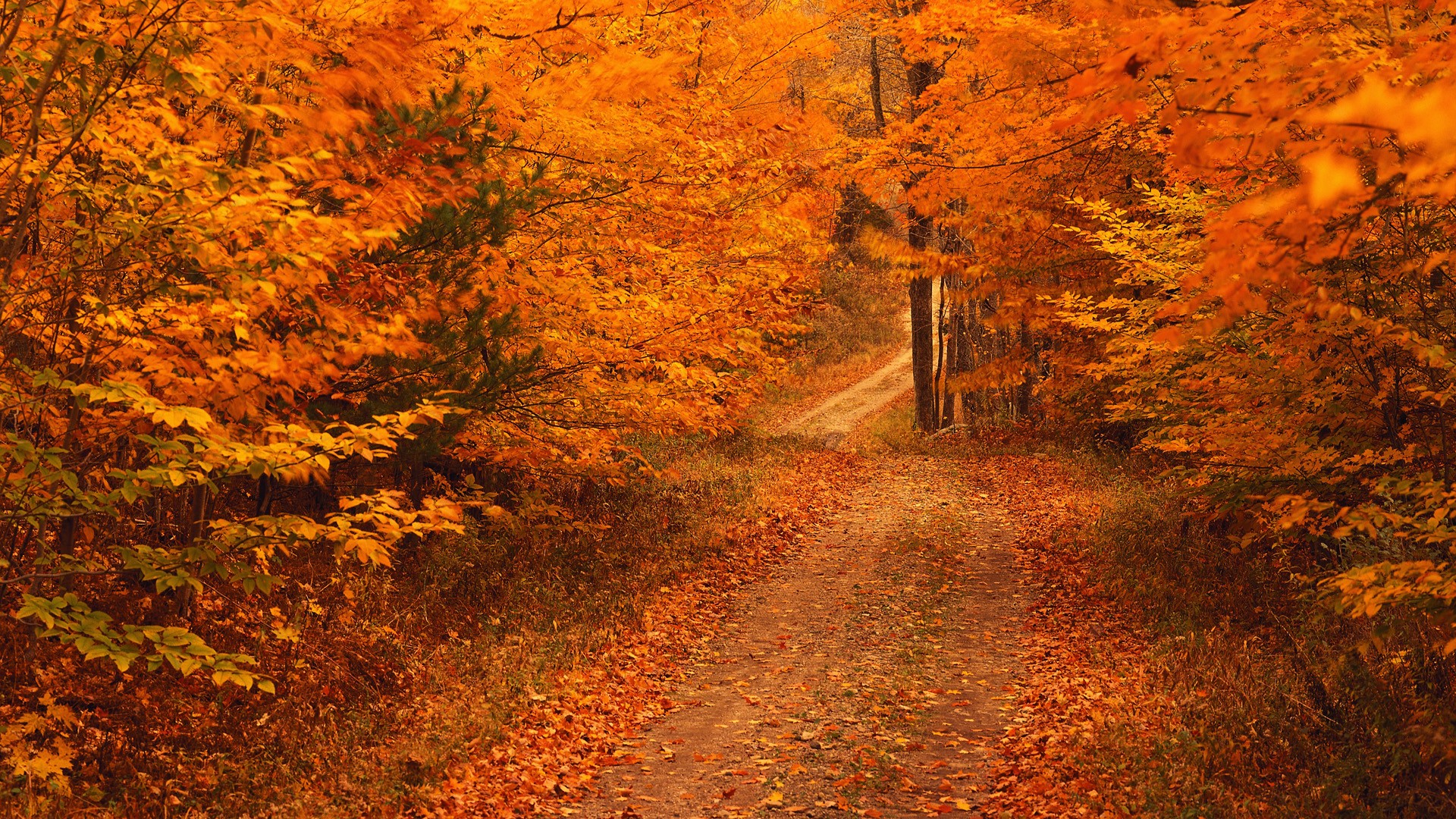 Fall Season Desktop Background Image