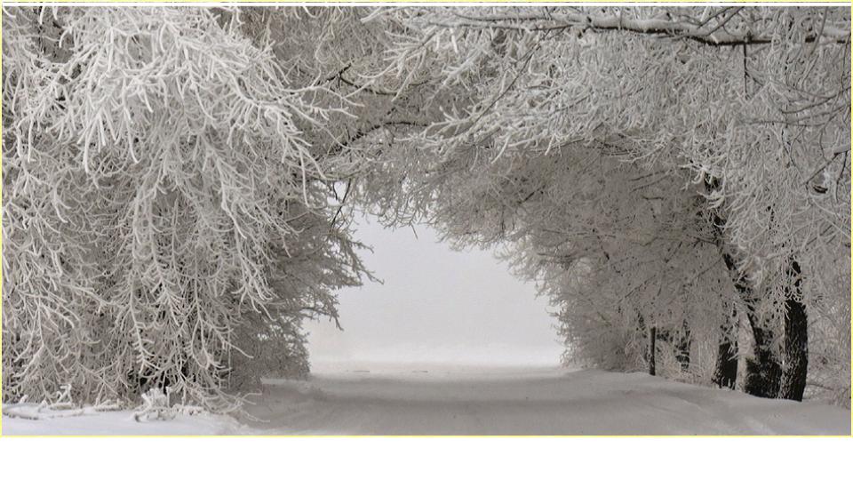 Cool Winter Background For Android Apk