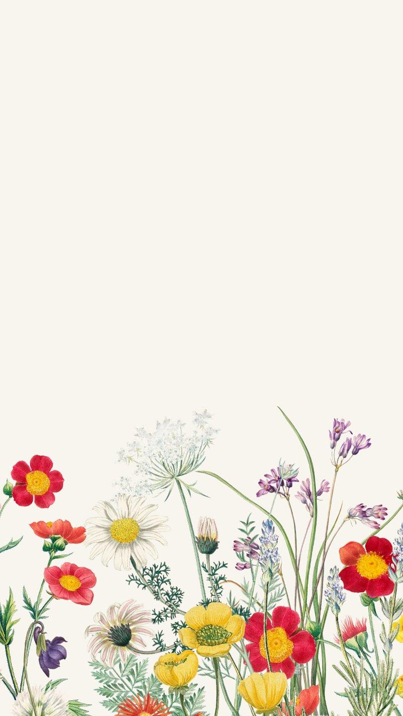 Floral iPhone Wallpaper High Resolution Flower Mobile