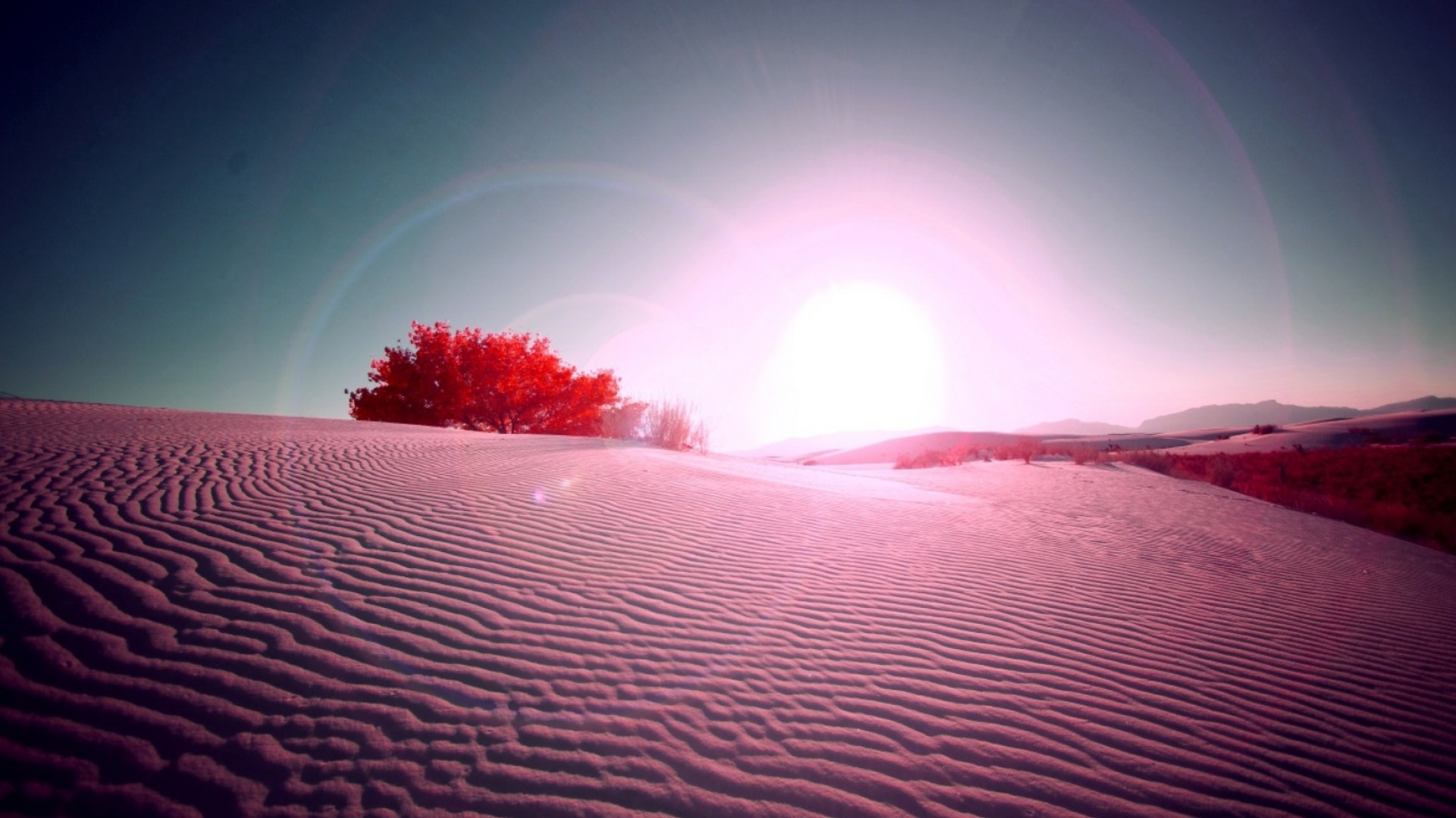 Pink Desert Flare   High Definition Wallpapers   HD wallpapers