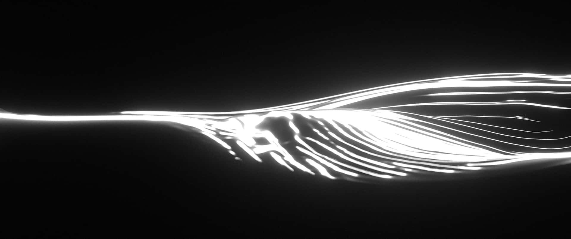 Neon Wallpaper