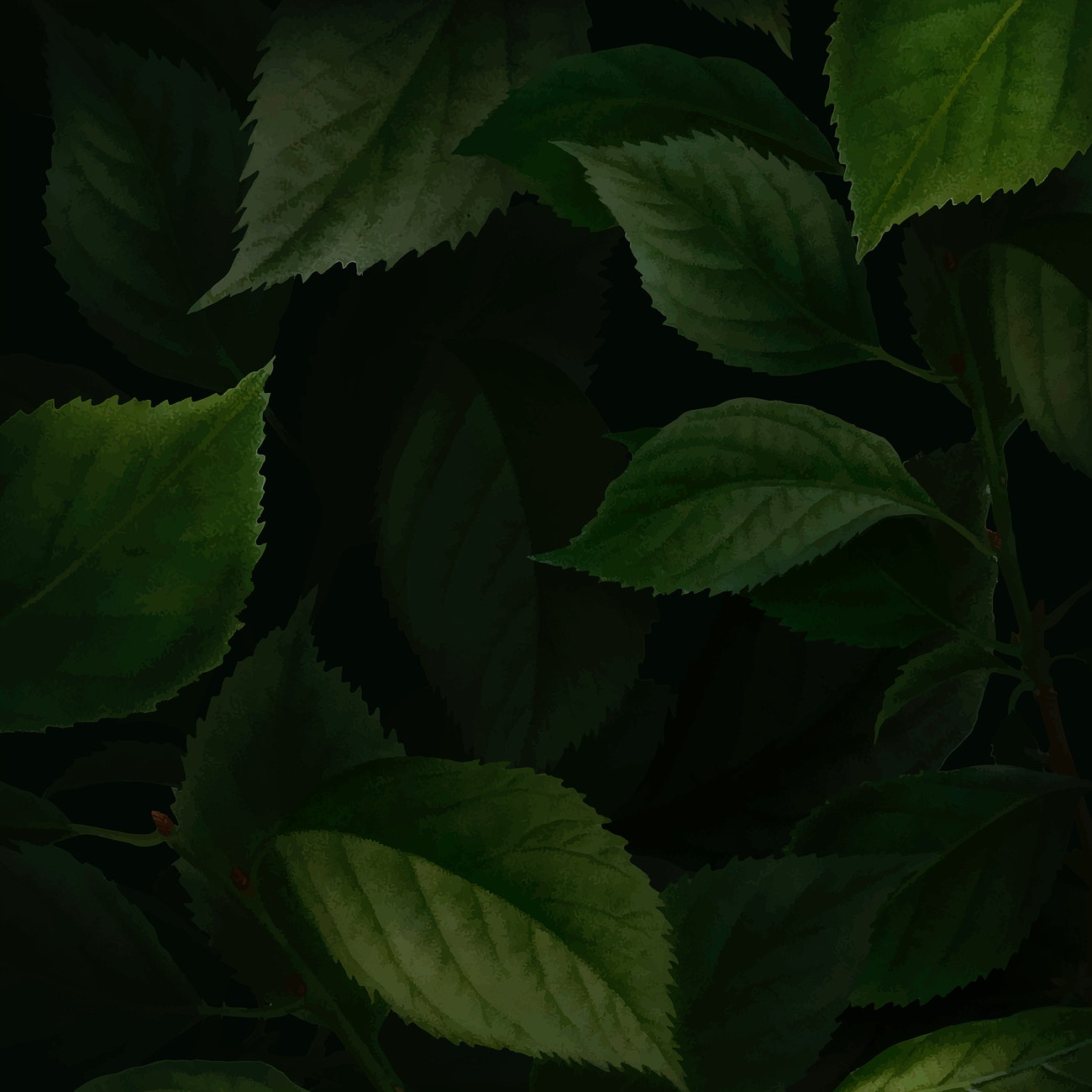 Dark Green Leafy Background Royalty Vector