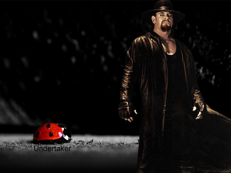 Wwe Undertaker Wallpaper HD And Background