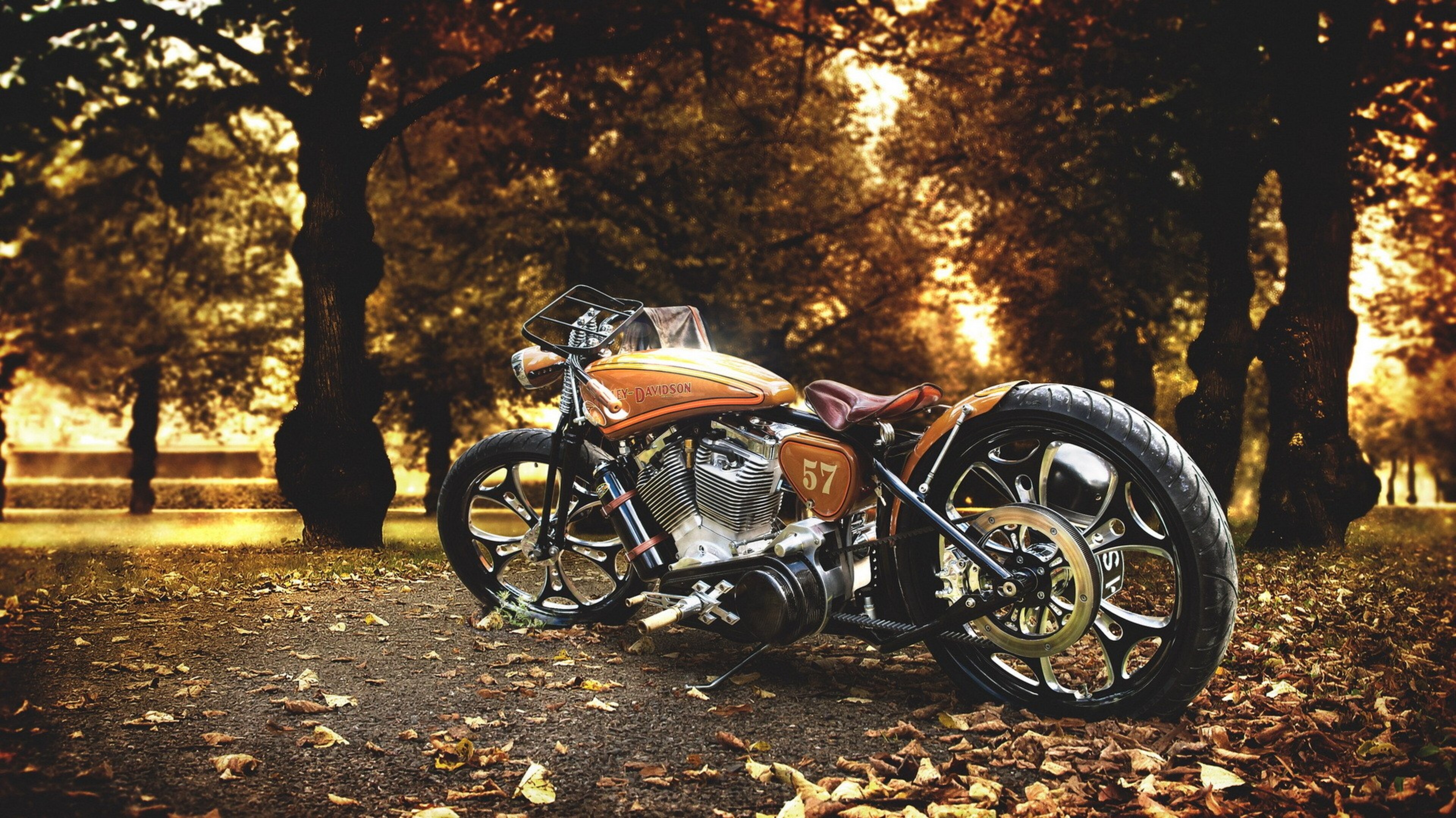 Custom Harley-Davidson Motorcycle Parked on an Autumn Path