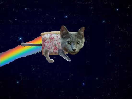 Cat Wallpaper Nyan