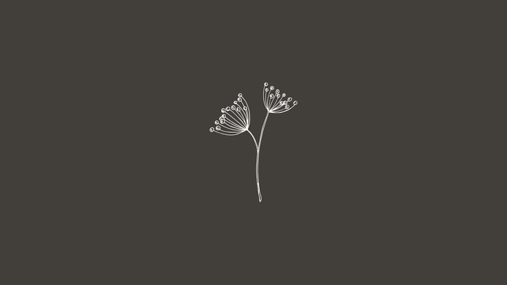 Simple Flower Desktop Wallpaper