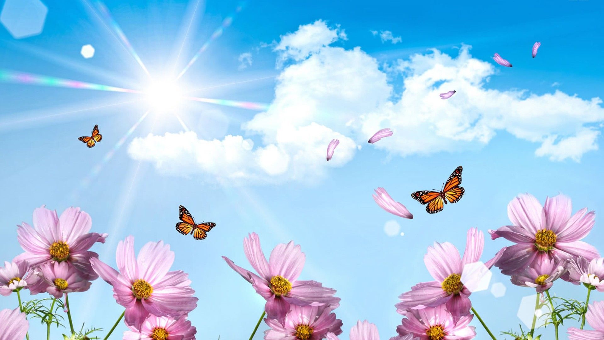 Wallpaper HD Hello Spring Butterfly