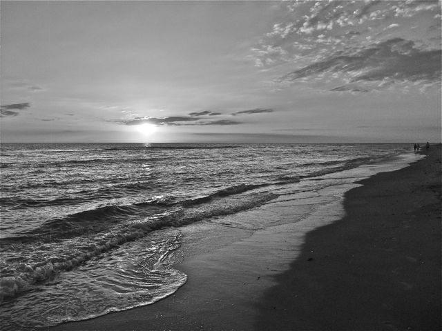 Best Wallpaper Photography Black And White Beach