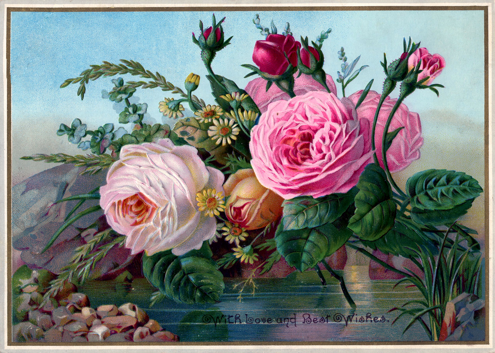 Public Domain Vintage Image Stunning Roses The Graphics Fairy
