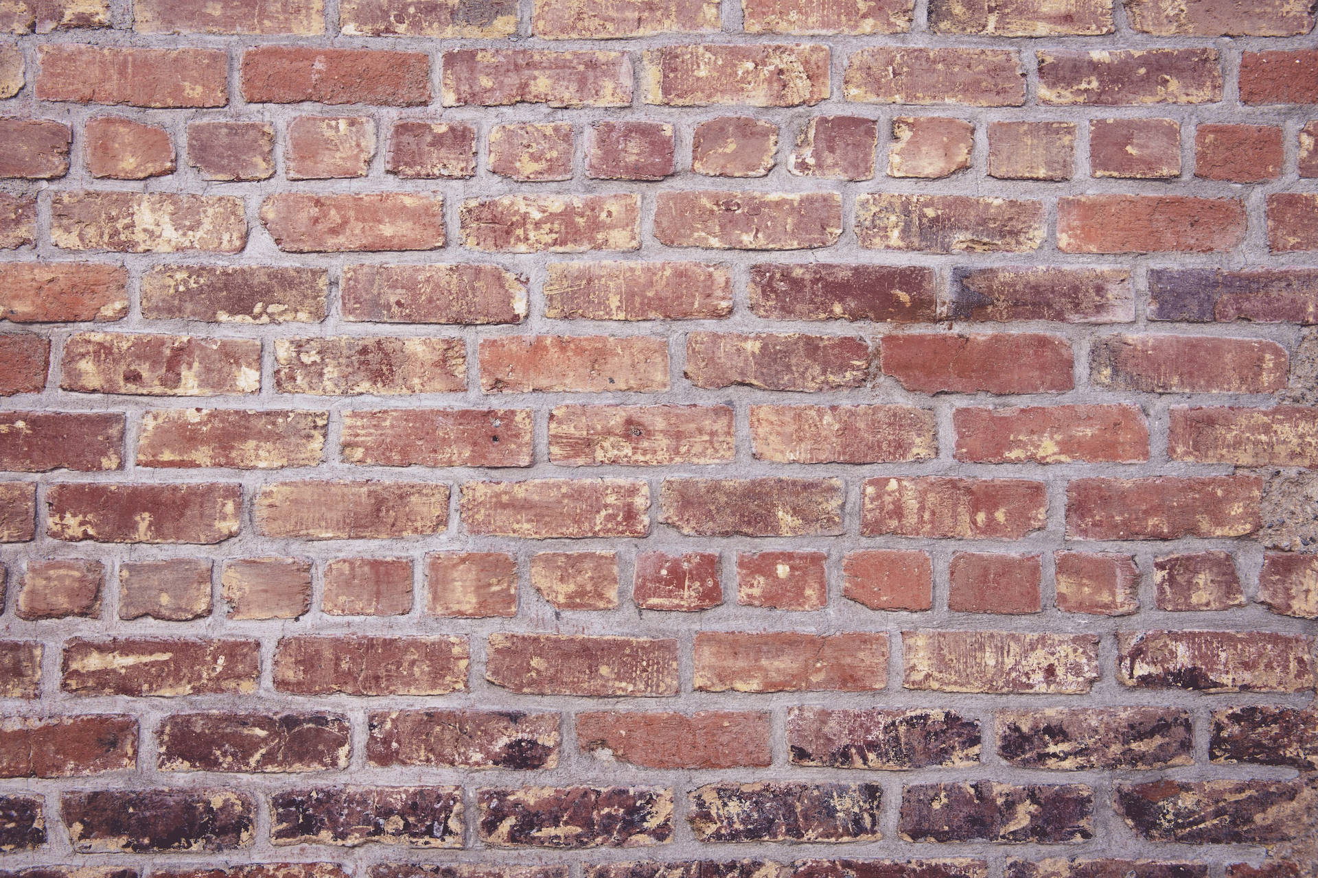 Brick Wallpaper