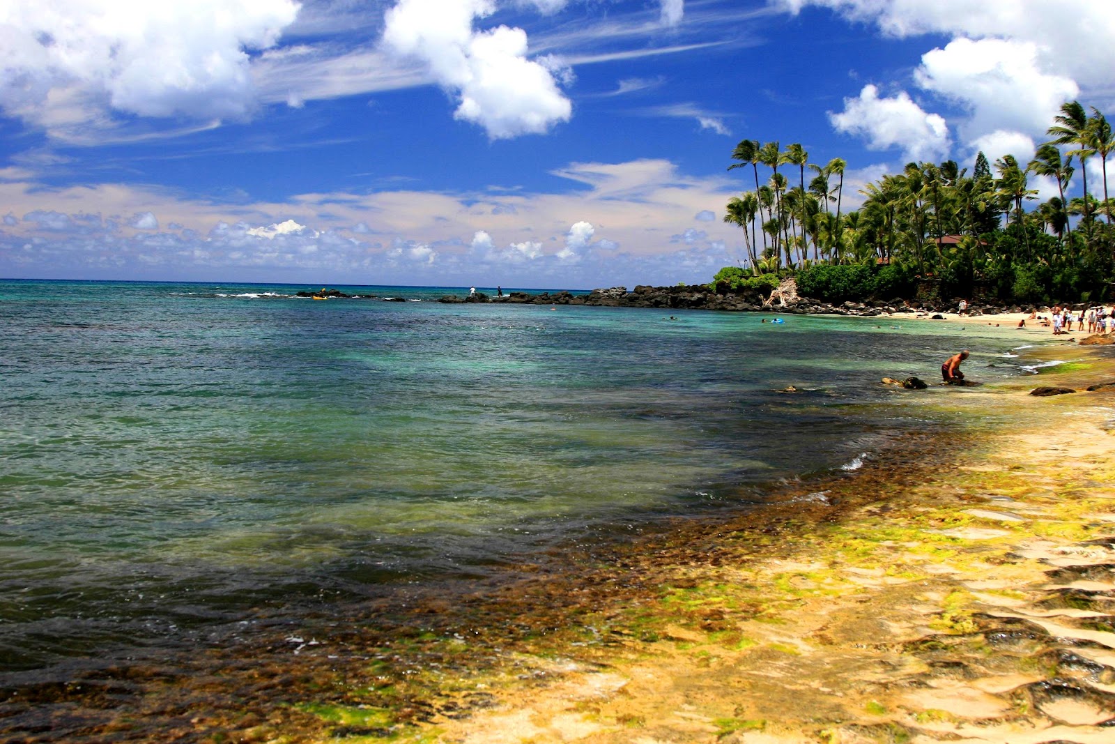 Hawaiian Islands Hawaii Wallpaper Tour Image Tourism Place