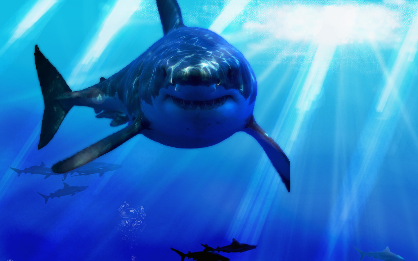 Shark Puter Wallpaper Desktop Background Id