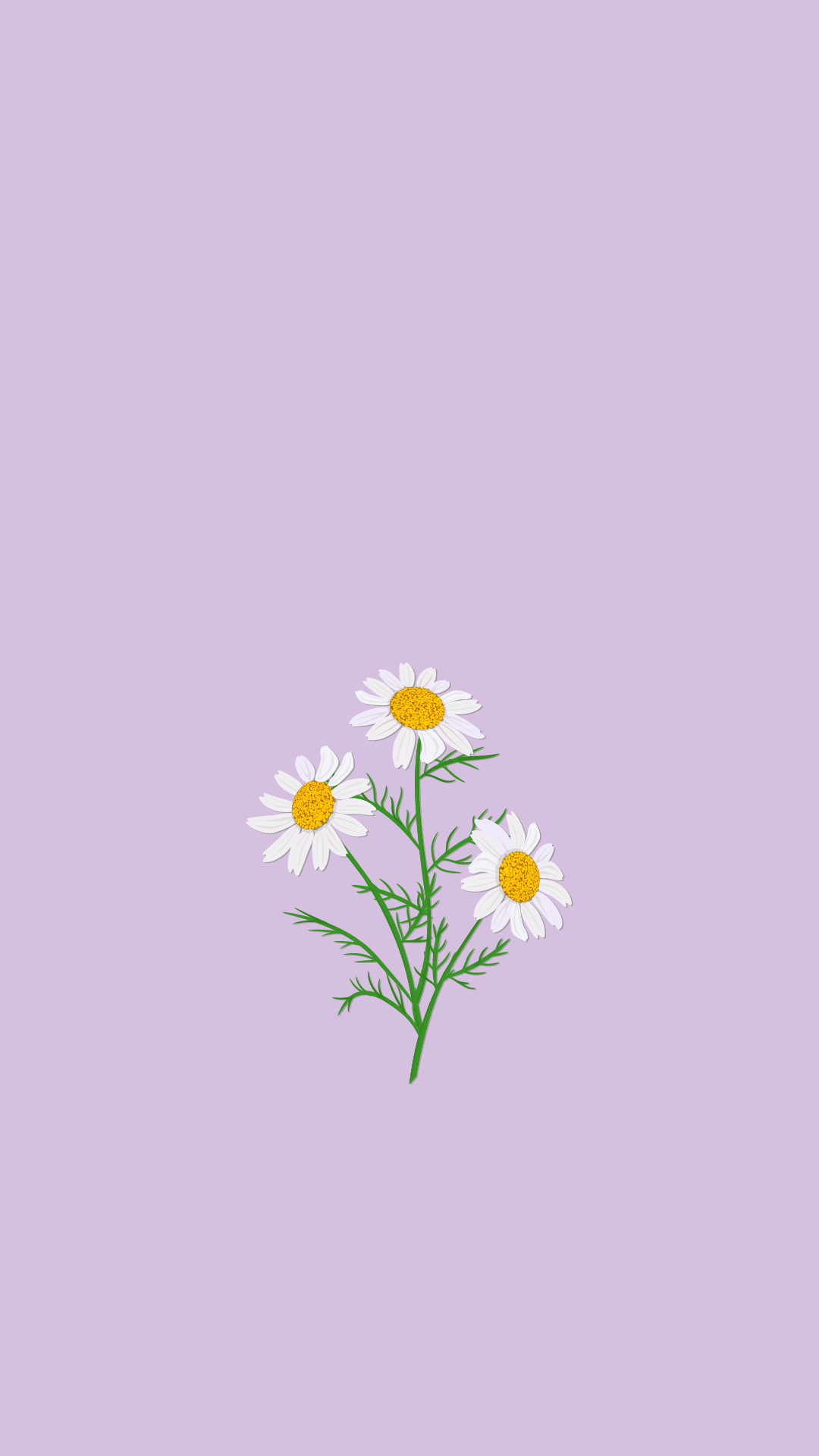 Purple Daisy iPhone Wallpaper