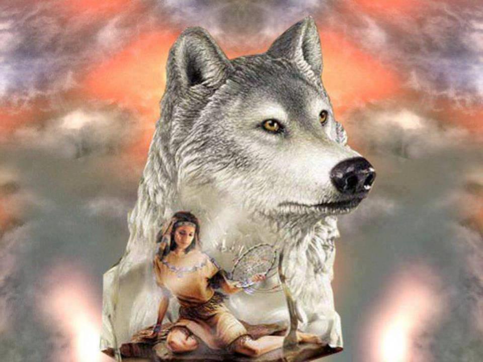 Wolf Indian Girl Wolves And Native American Indians
