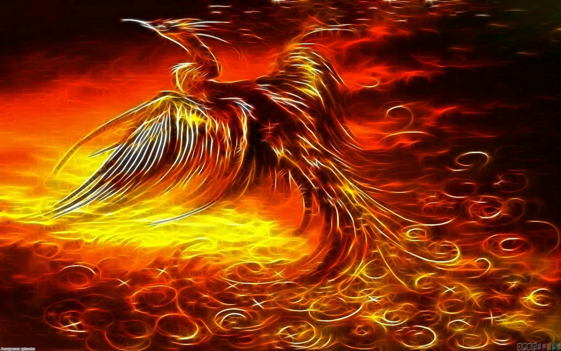 bird image wallpaper phoenix 1920x1200
