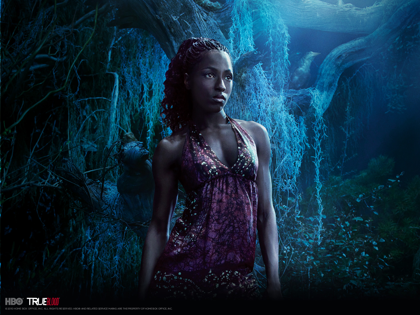 High Quality Night True Blood Wallpaper Num