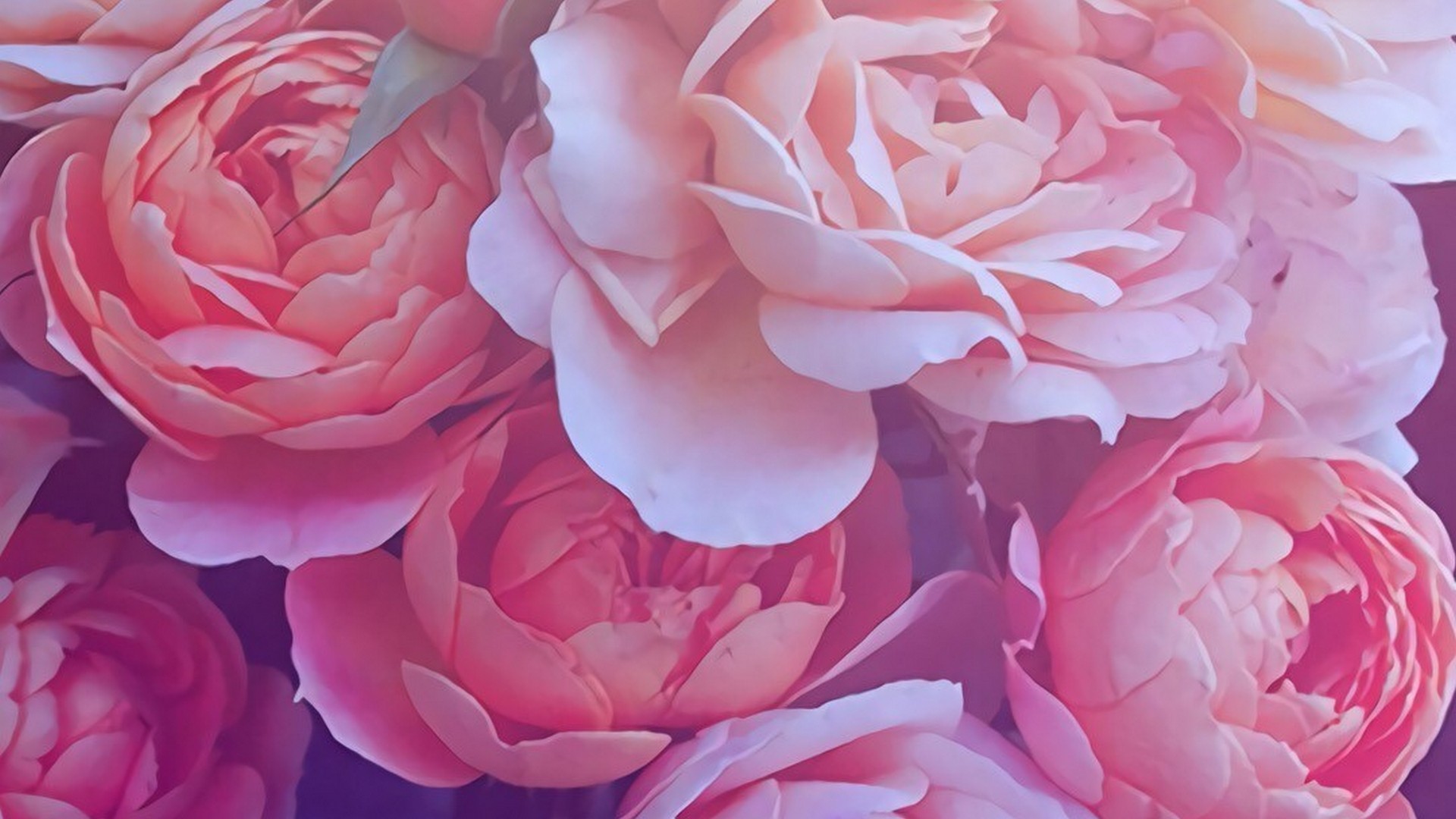 Gold Rose Desktop Background Wallpaper