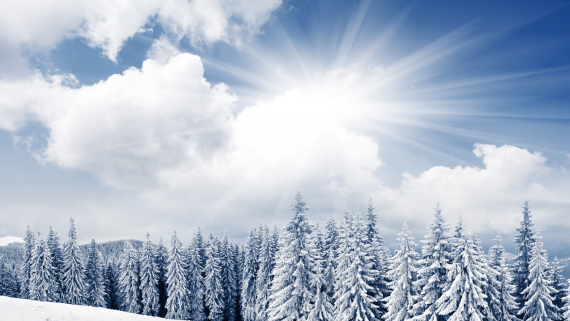 Wallfocus Sunny Winter Day HD Wallpaper Search Engine