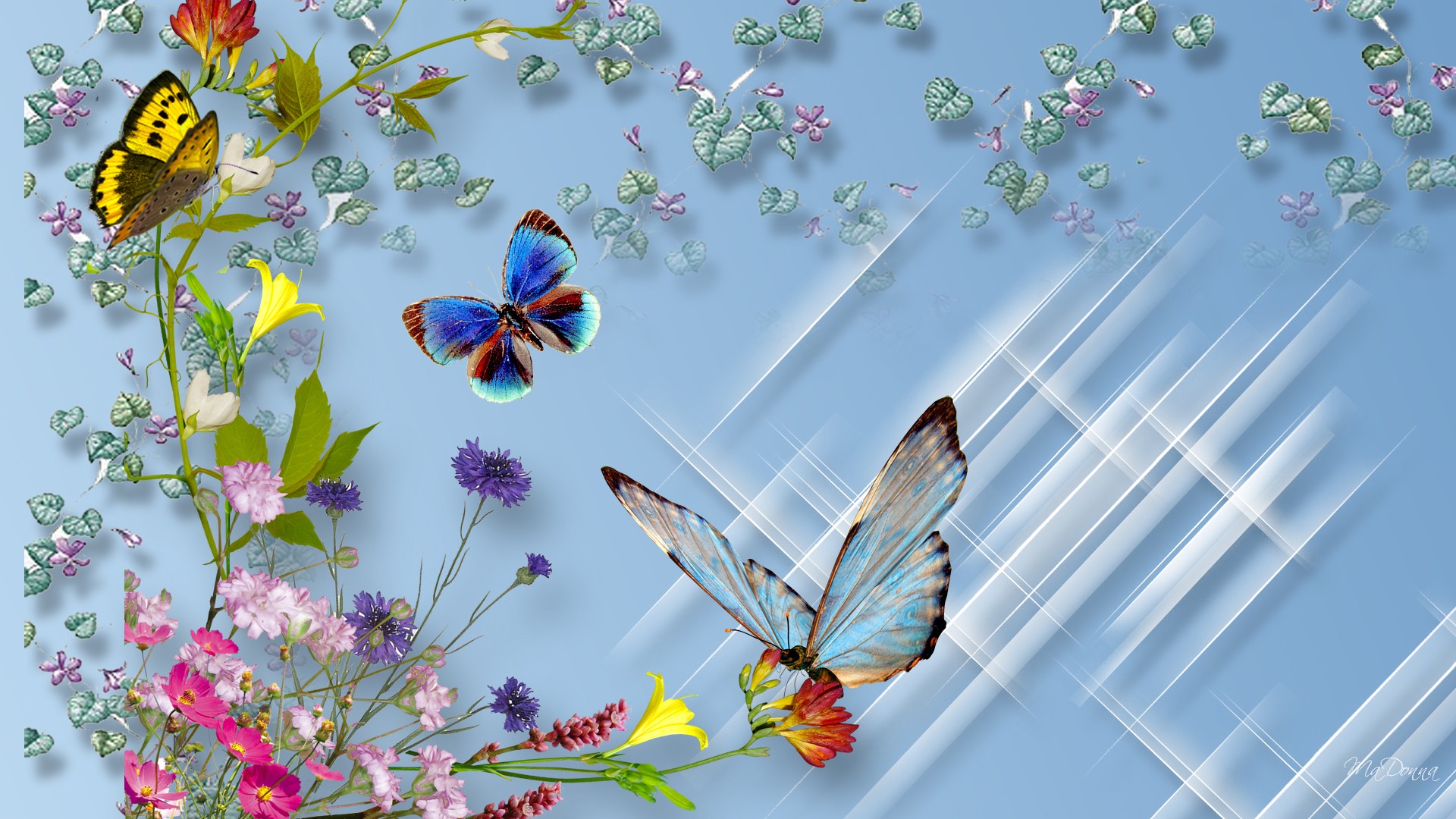 Butterfly And Flower Wallpaper Sf