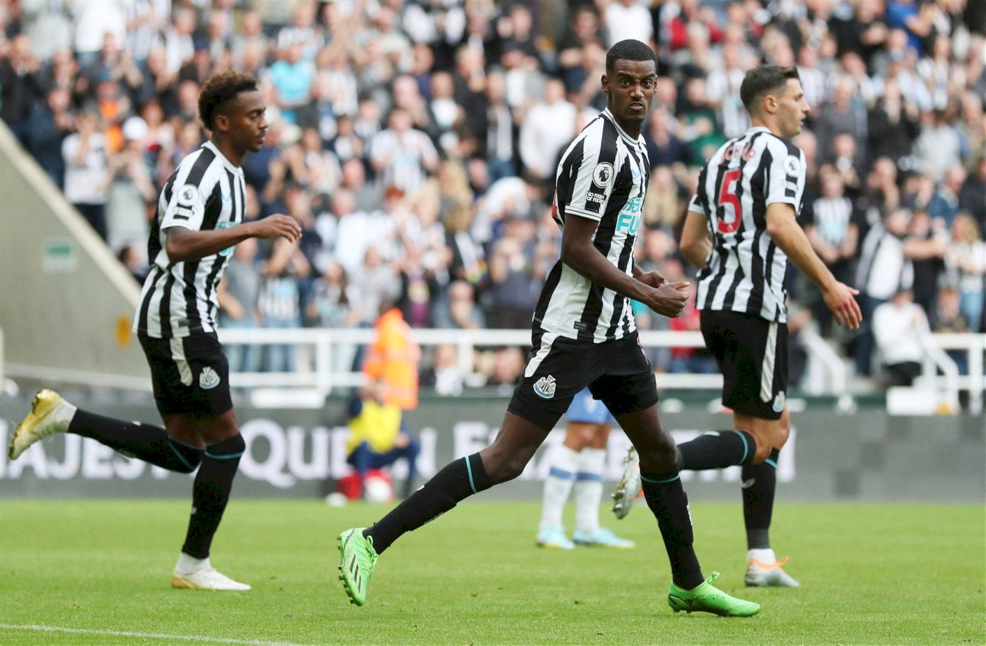 Newcastle United Fc Wallpaper
