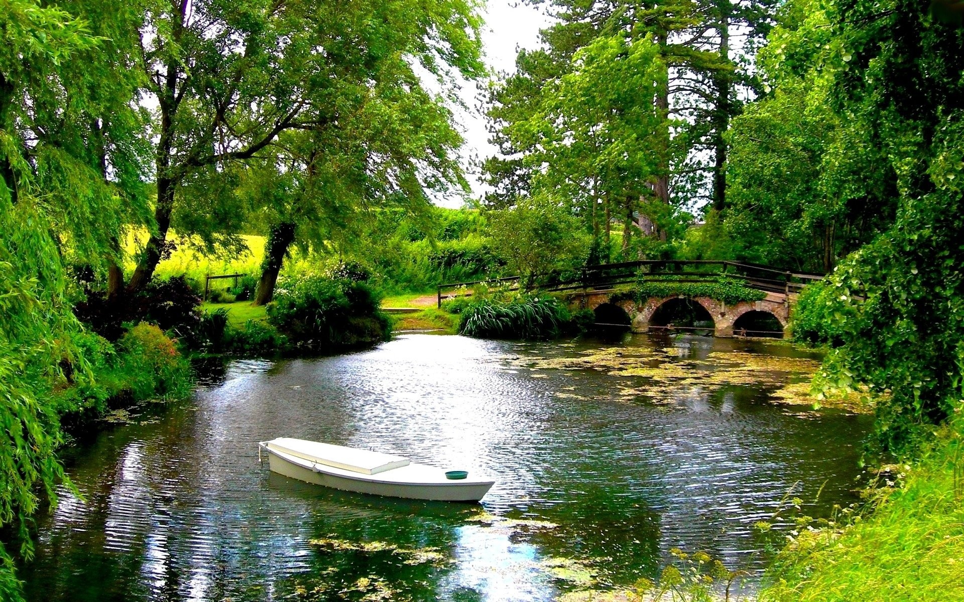 Pond Wallpaper