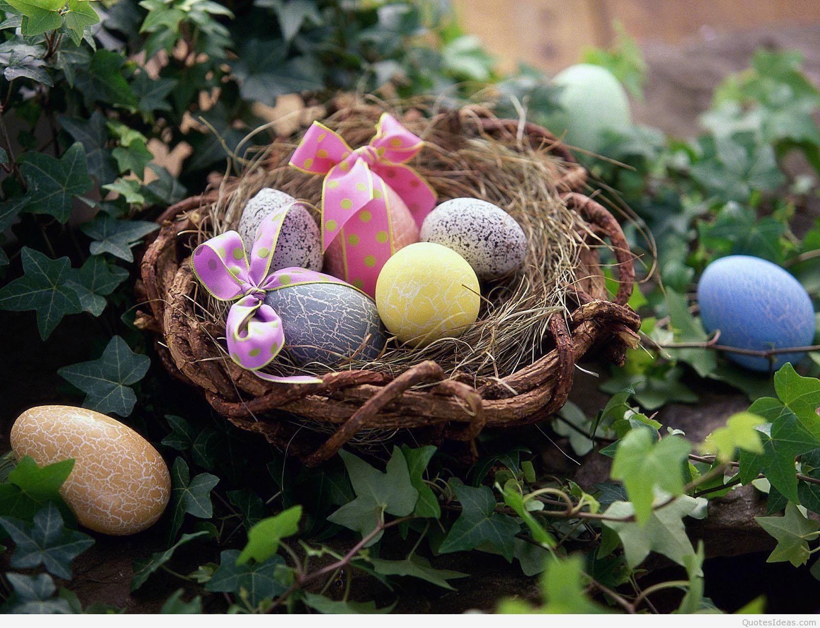 Easter Egg Collection Wishes HD Desktop Wallpaper
