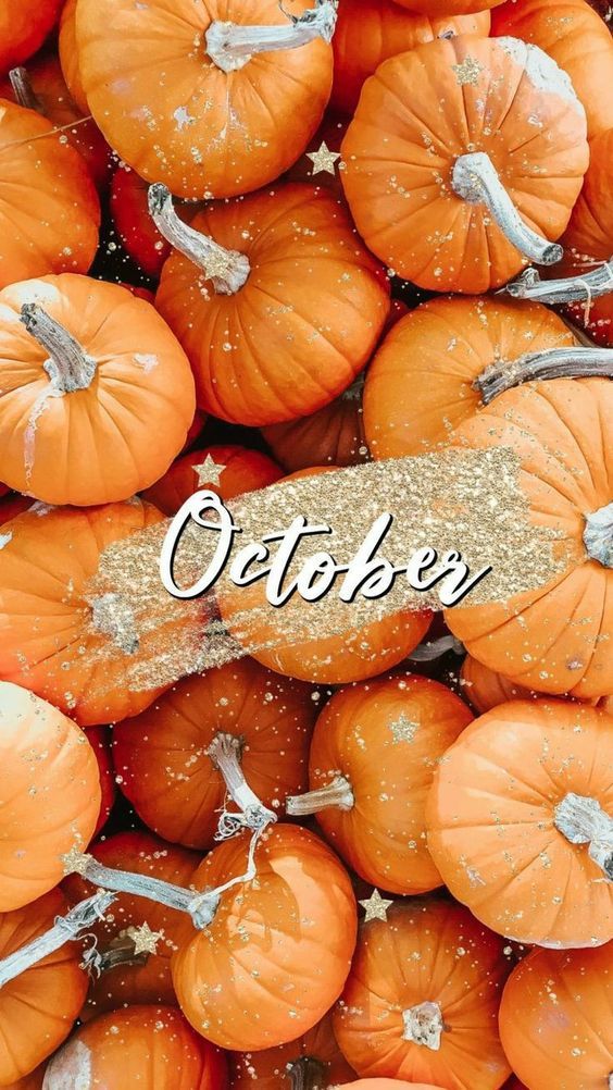 Download October Aesthetic Halloween Pumpkins Wallpaper  Wallpaperscom