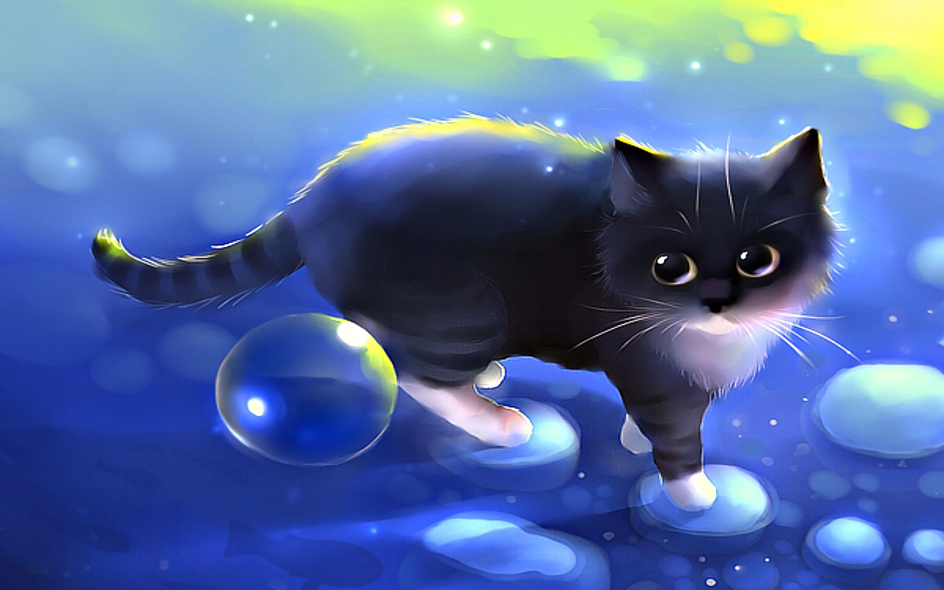 A cute black and white kitten walks on a dreamlike blue surface with bubbles, perfect for a laptop wallpaper