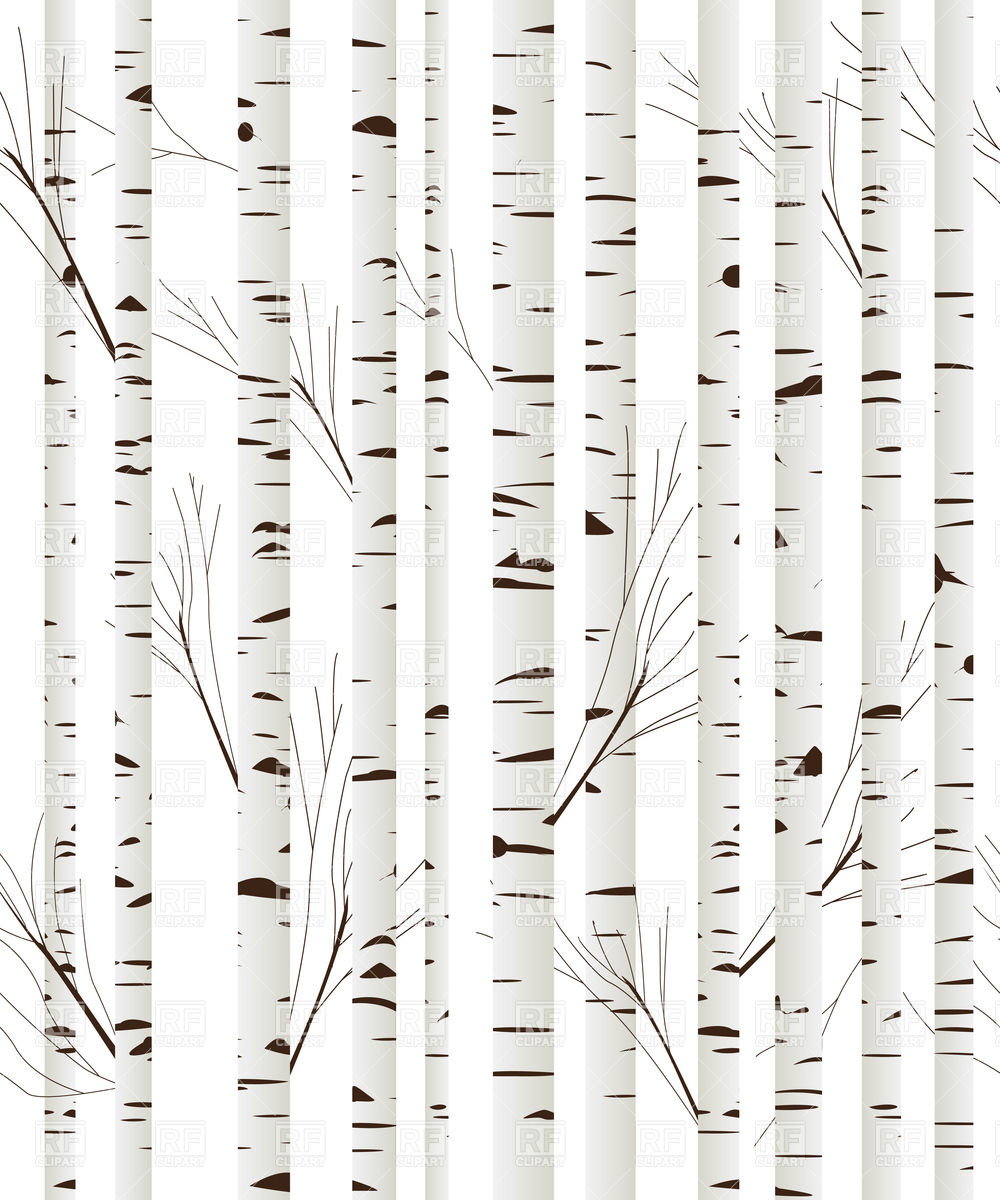 Birch Wood Trees Background Royalty Vector Clipart Eps