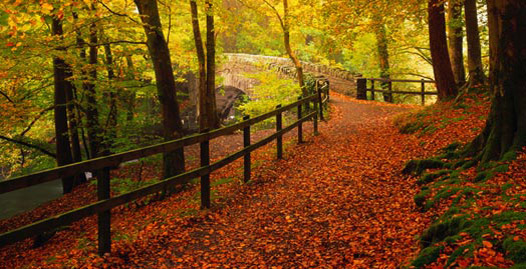Ideas Autumn Season HD Widescreen Wallpaper For Desktop