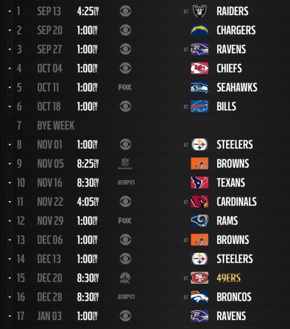  look at the Cincinnati Bengals schedule for the 2015 season
