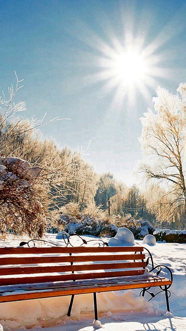 Winter Snowy Sunshine Bright Bench Park iPhone Wallpapers Free