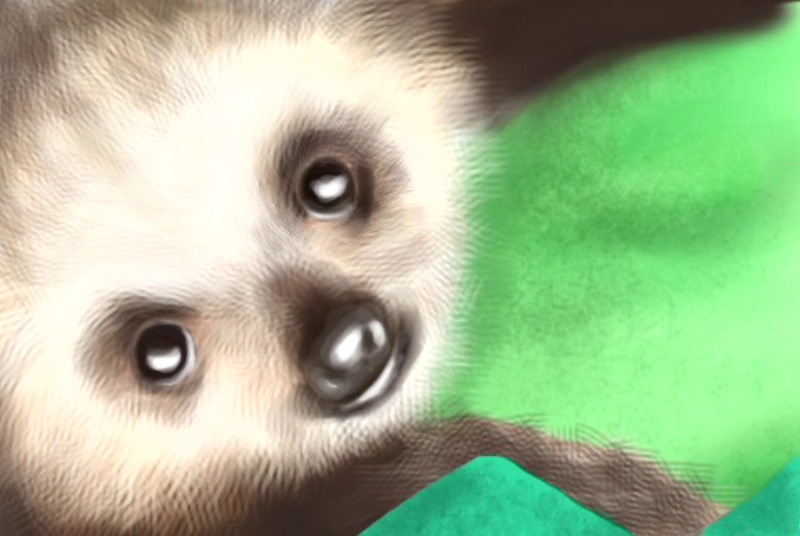 Baby Sloth Wallpaper By Abemir