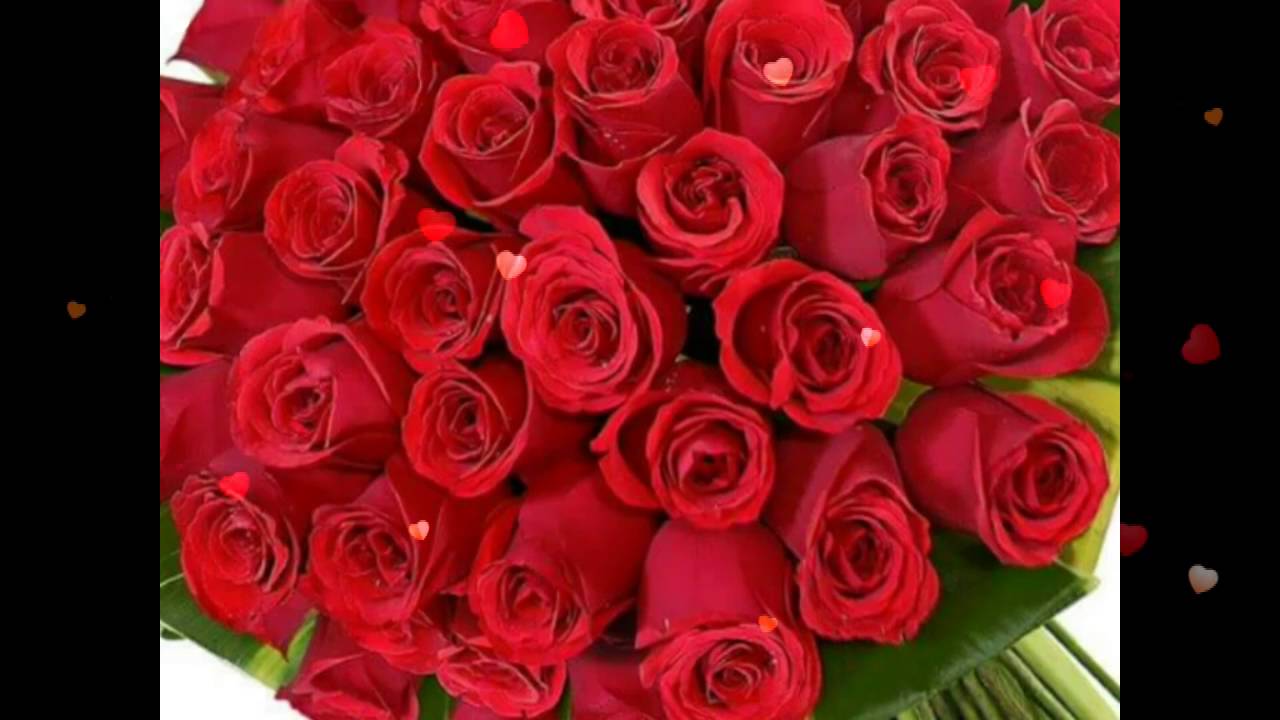 Red Roses For You Flowers Beautiful Wallpaper E Card