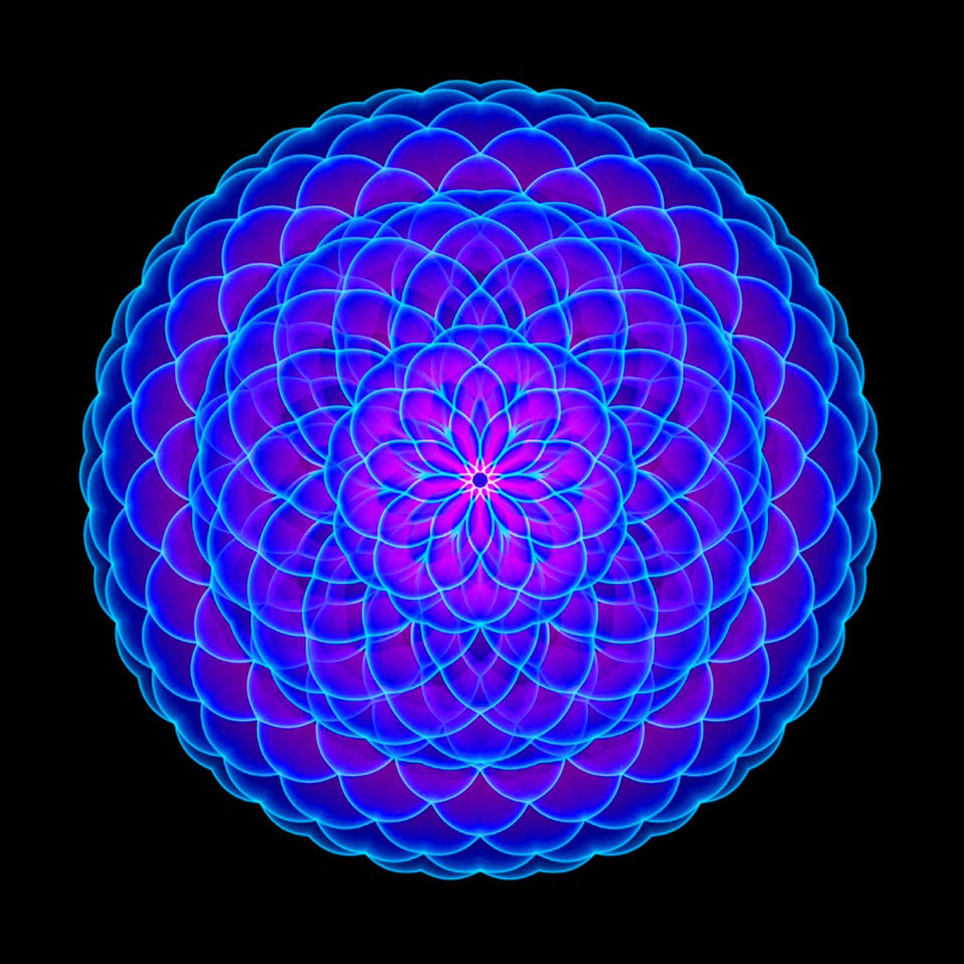 Flower Of Life Wallpaper
