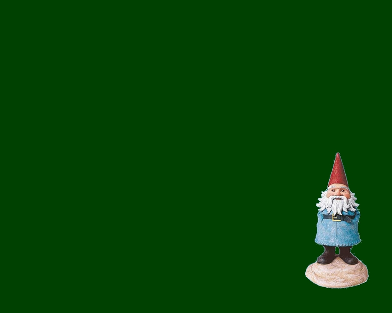 HD wallpaper gnome standing on green grass during daytime shallow focus  of garden gnome figurine  Wallpaper Flare