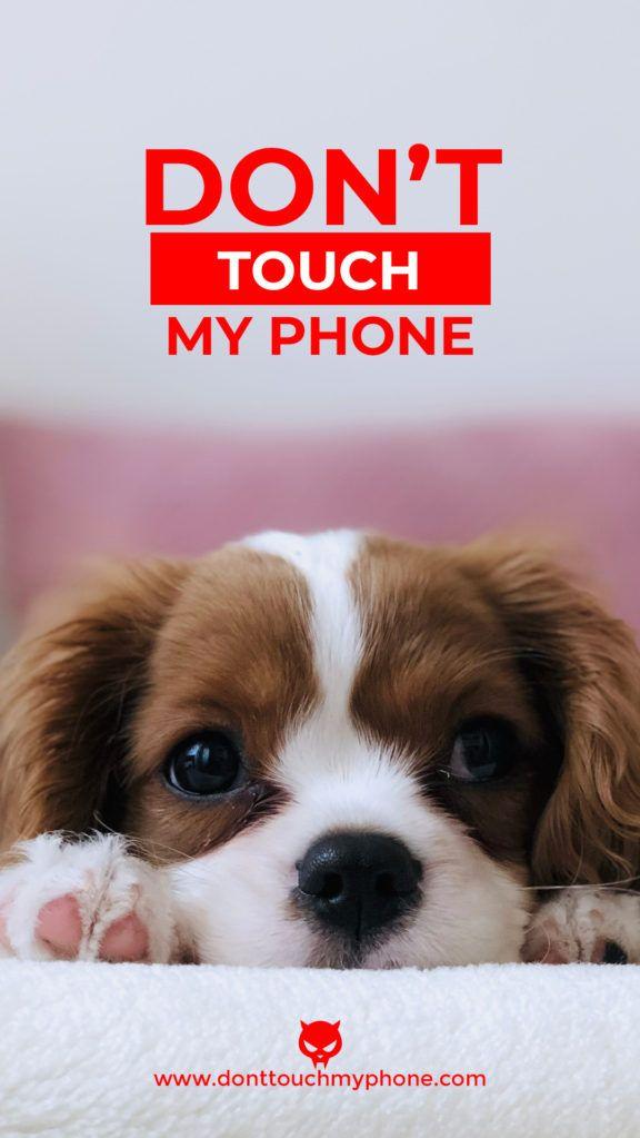 Dont Touch My Phone Cute Animal Wallpapers Dont touch my phone