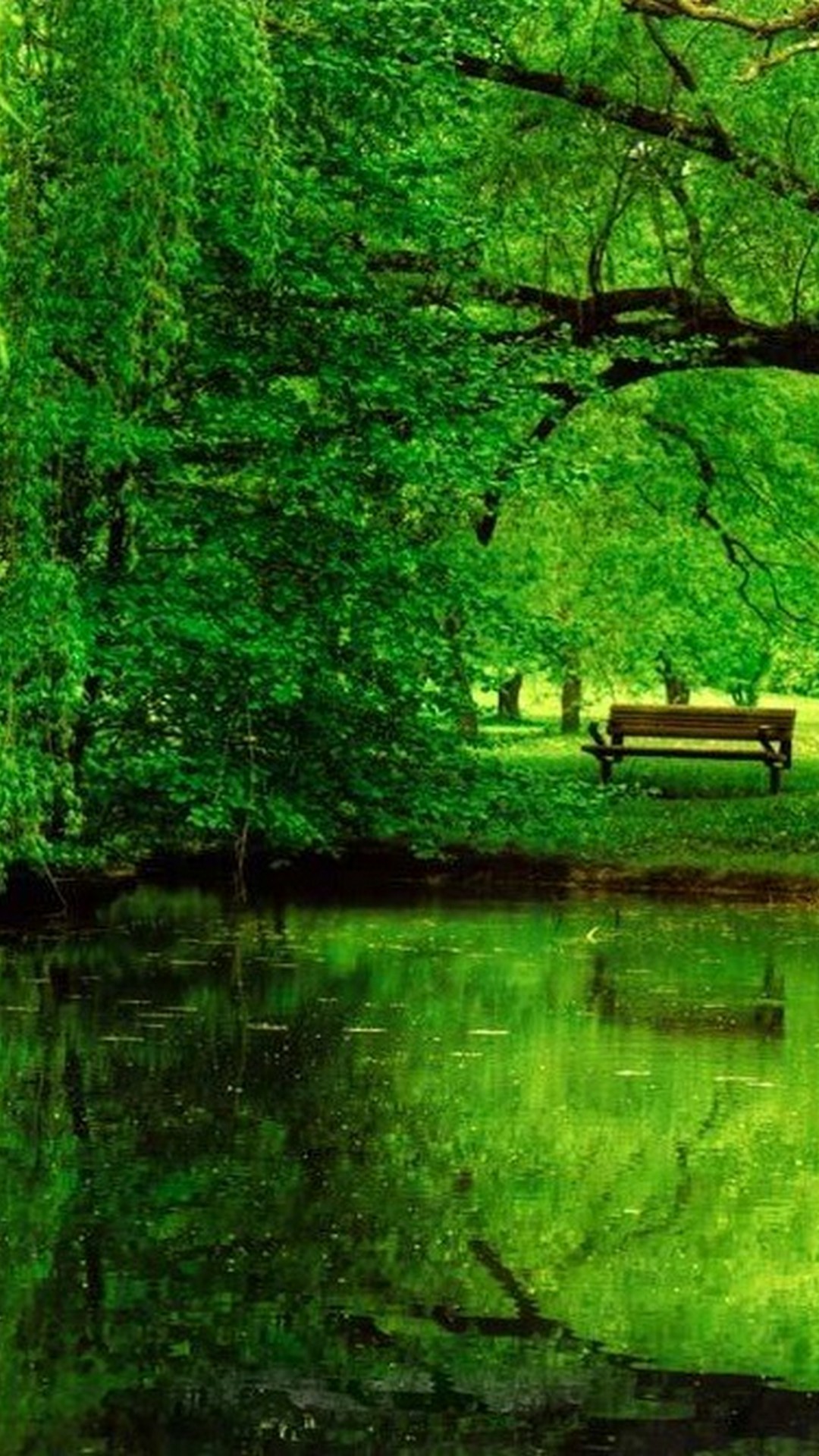 Wallpaper Nature Green iPhone With Image Resolution Thought On