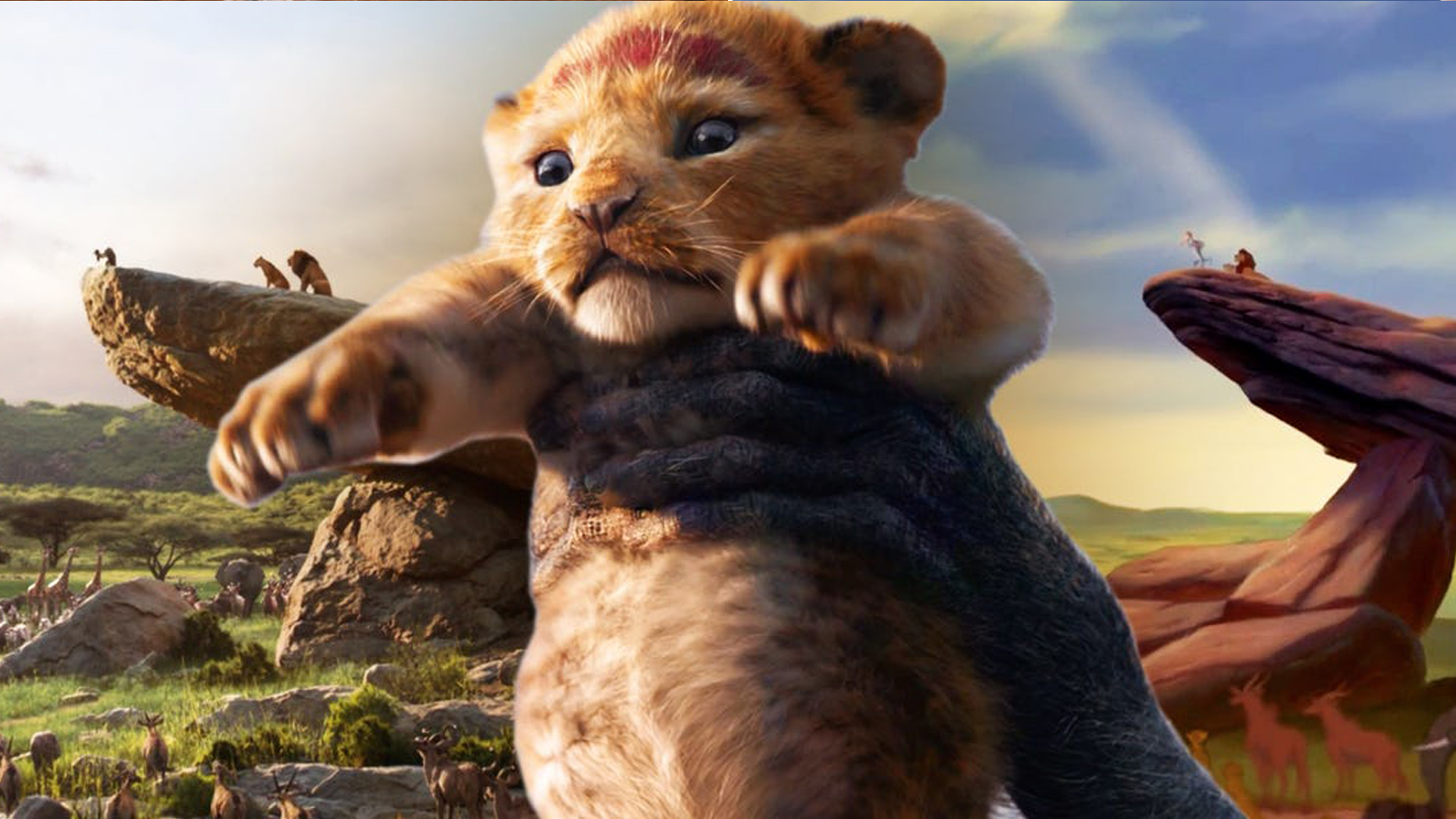 The Lion King Wallpaper Details Supertab Themes