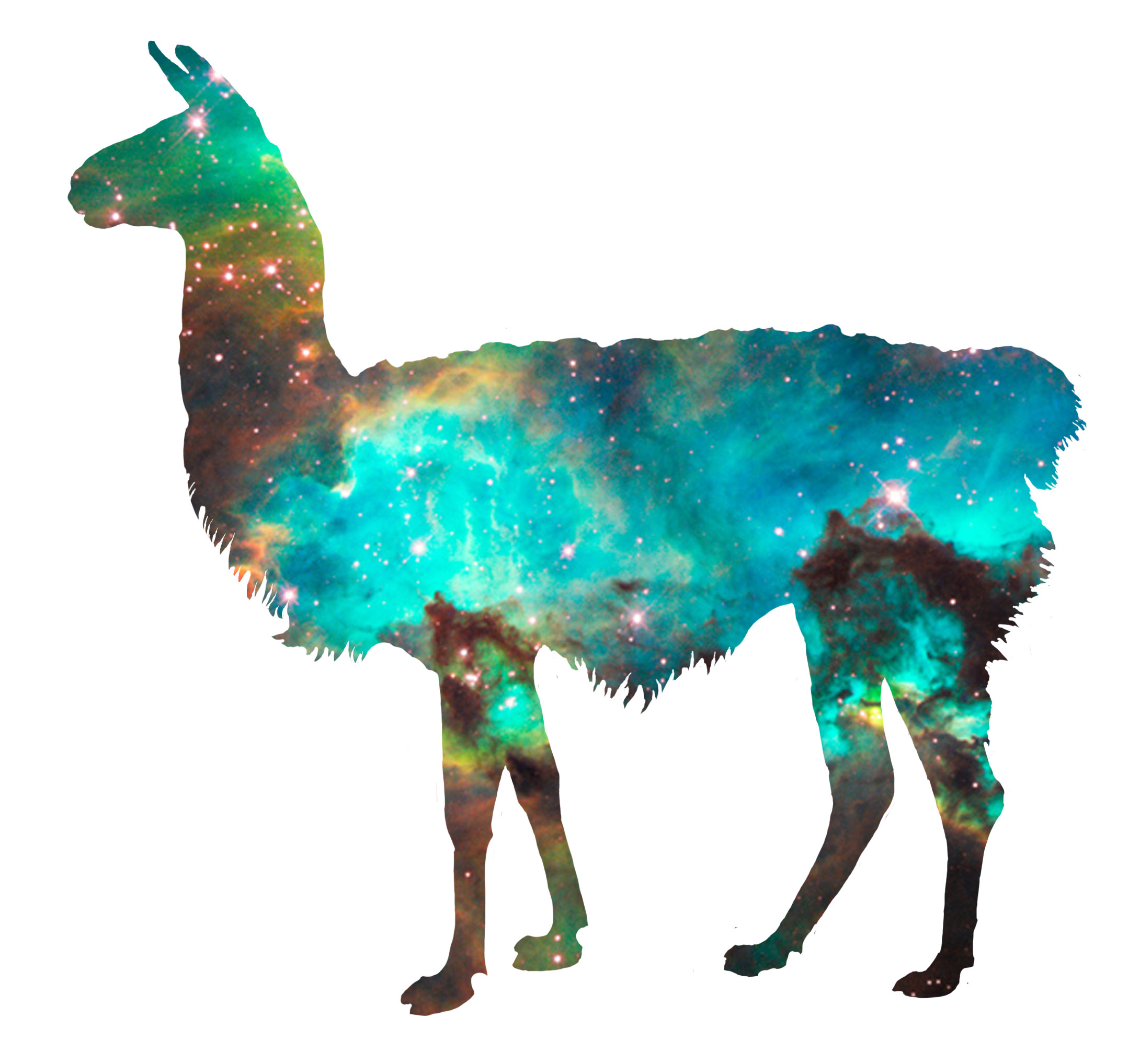 Llamas In Space Tens Of Dollars Studio