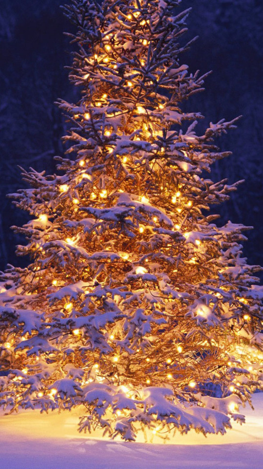Christmas Tree In Snow Wallpaper iPhone