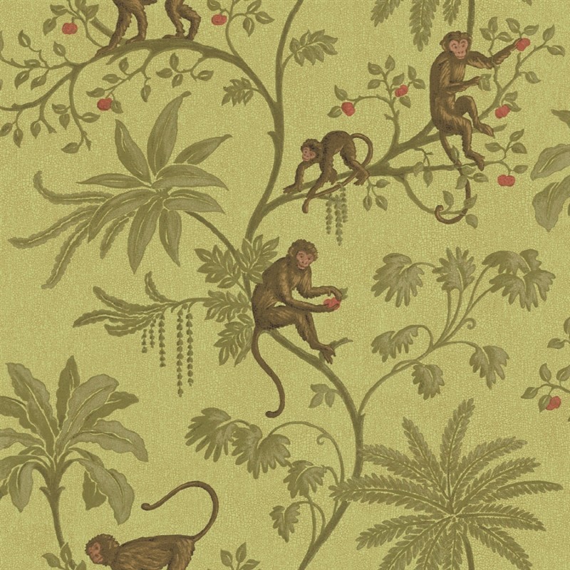 Jungle of Monkeys Wallpaper   Discount Wallcovering