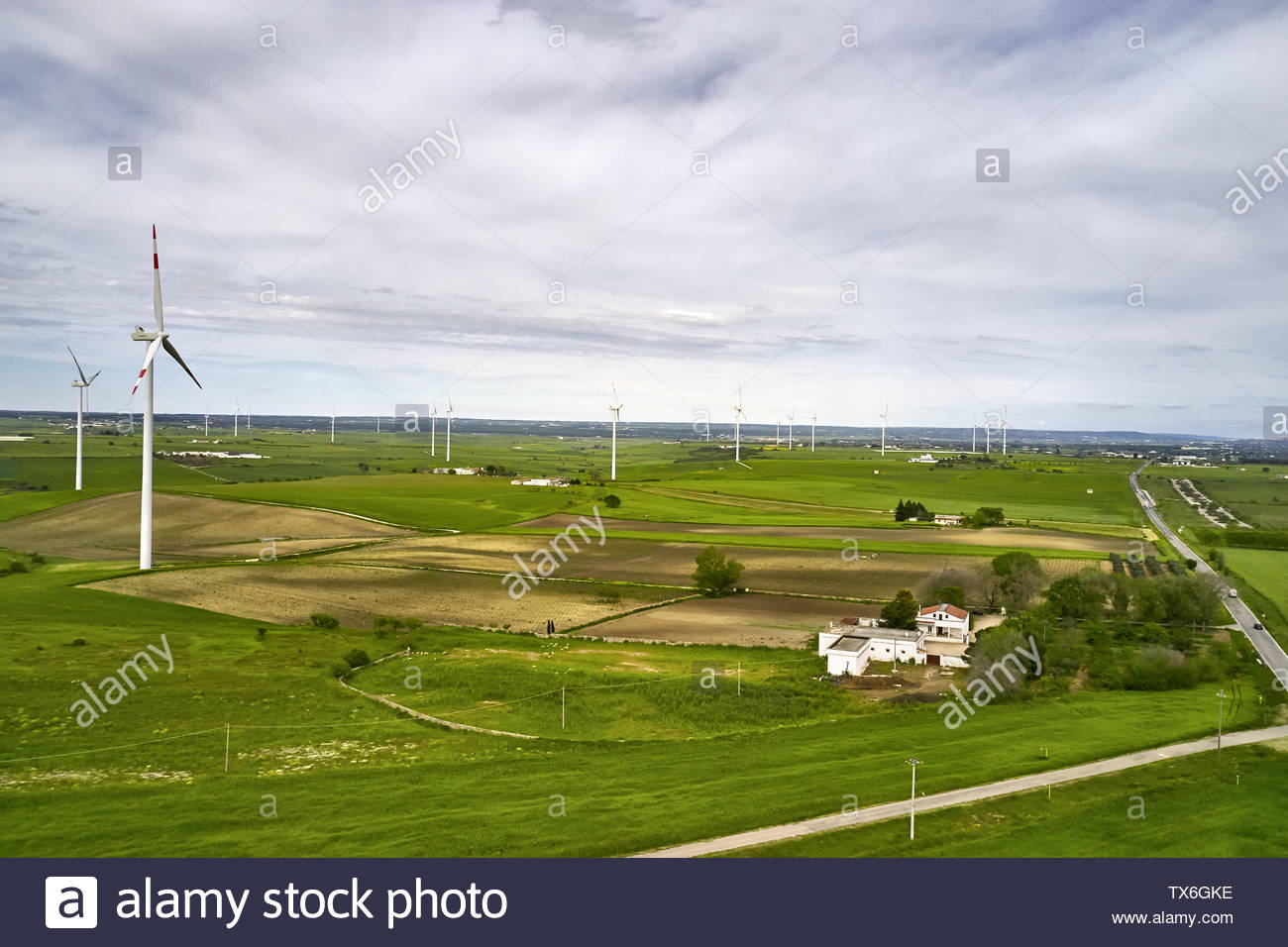 Nice Green Landscape With Many Wind Generators On The Fields