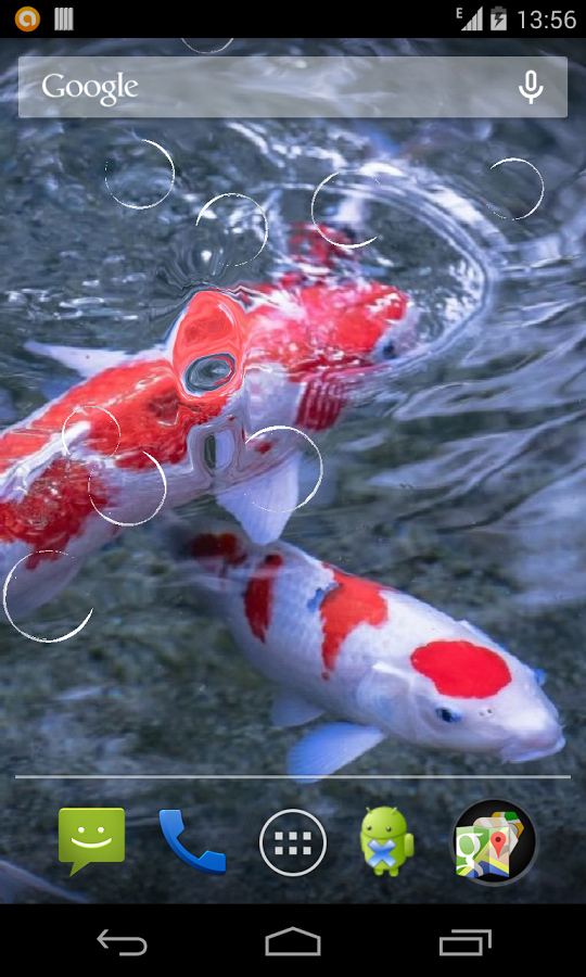 Magic Touch Koi Fish Live Wallpaper This Will Create A