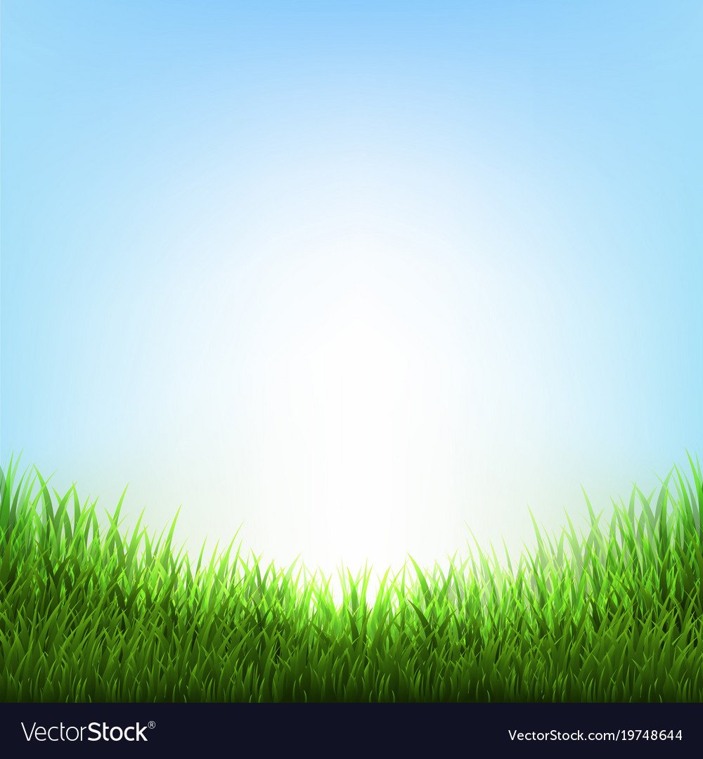 Nature background with grass Royalty Free Vector Image
