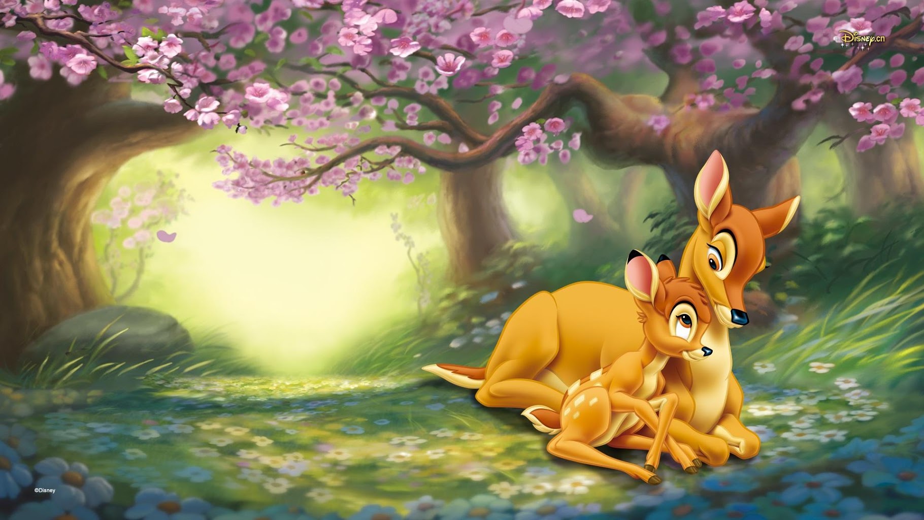Awesome Background Pictures Bambi Full Resolution Wallpaper
