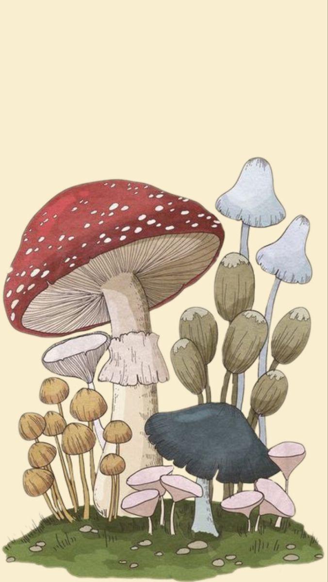 Mushroom Lock Screen Vintage Poster Art Cute Drawings