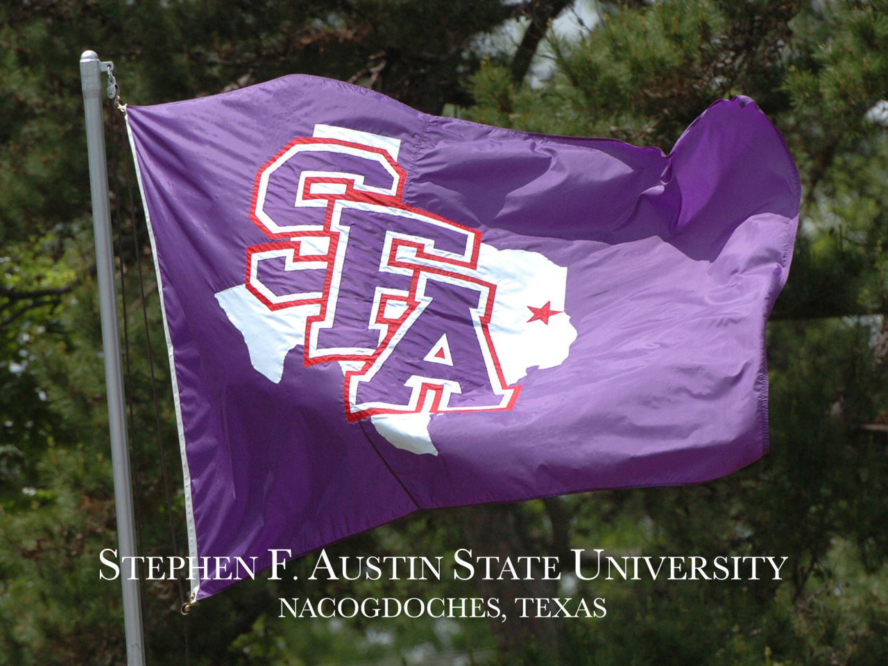 Give To Sfa Wallpaper